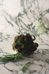 ceramiche grigoli verona bussolengo